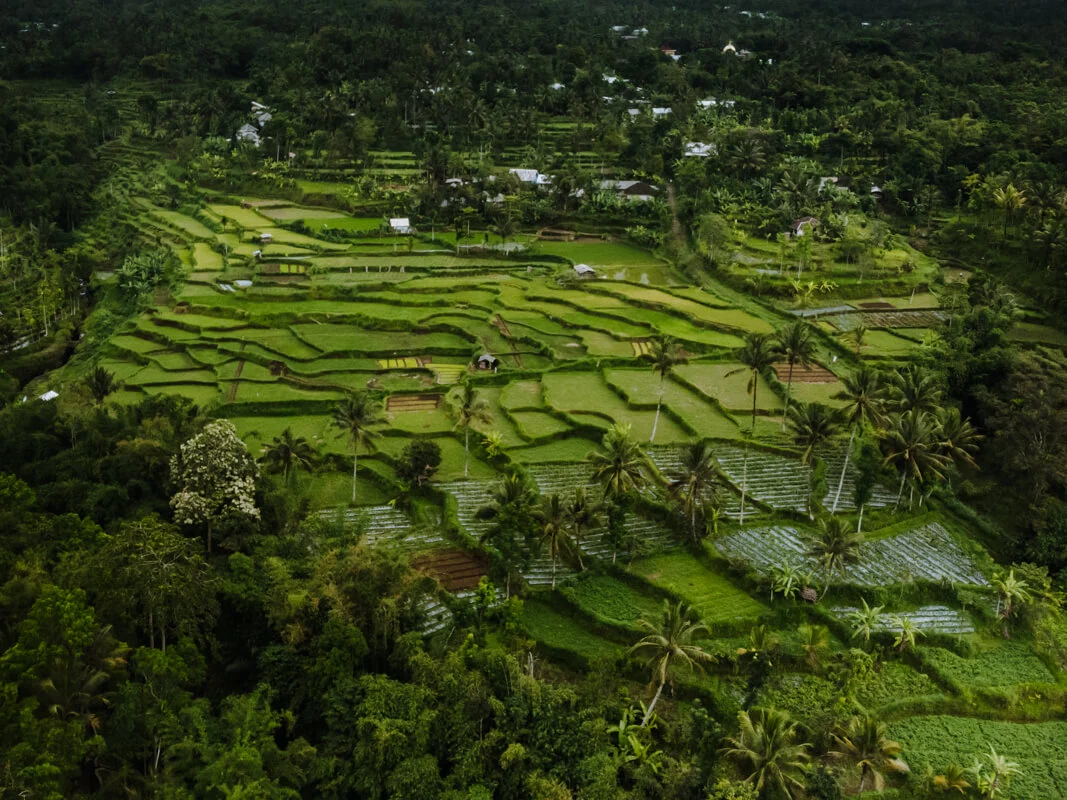 Tetebatu
