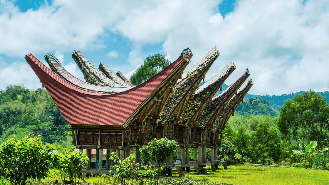 Sulawesi — Toraja culture & coral reefs