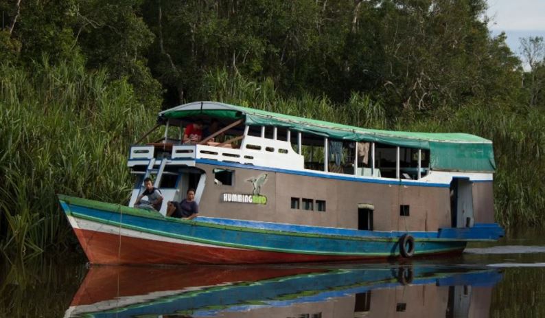 Tanjung Puting